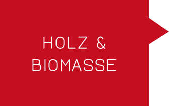 HolzBiomasse